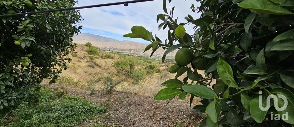 Terreny agrícola de 16.900 m² a Illar (04431)