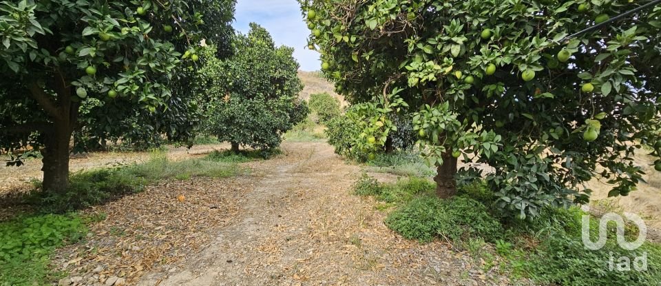 Terreny agrícola de 16.900 m² a Illar (04431)