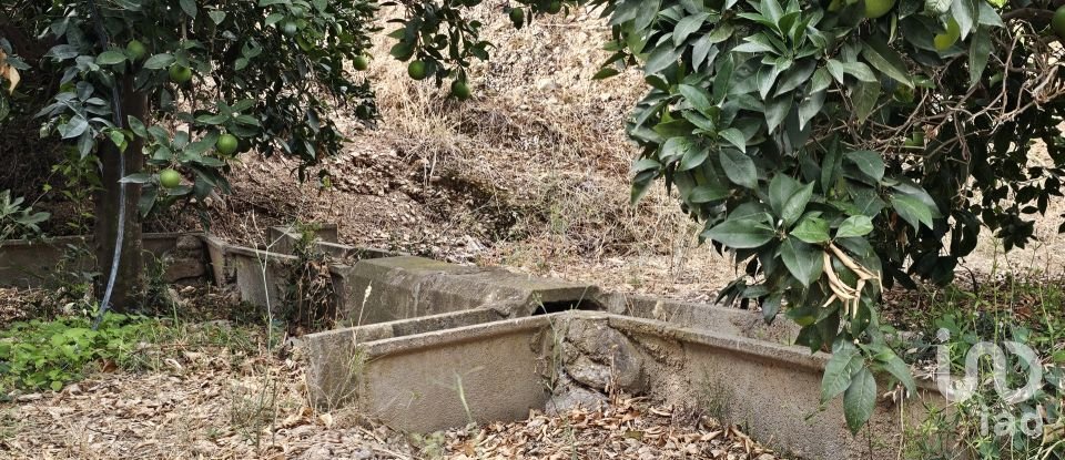 Terreny agrícola de 16.900 m² a Illar (04431)