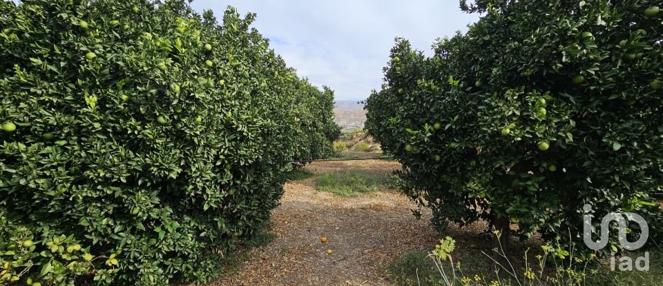 Terreny agrícola de 16.900 m² a Illar (04431)