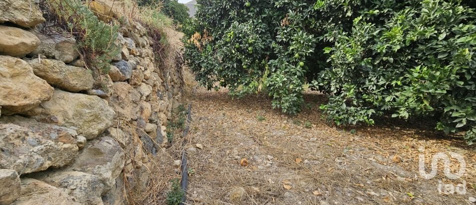 Terreny agrícola de 16.900 m² a Illar (04431)