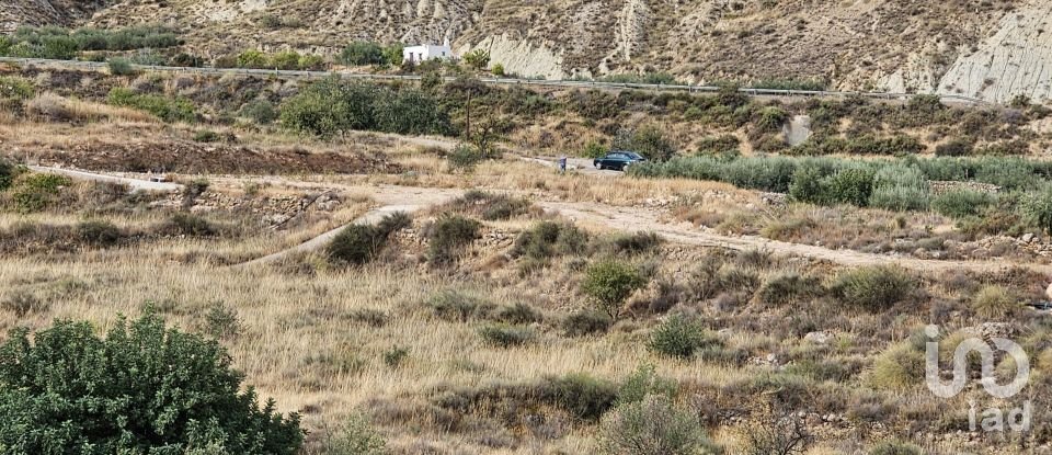 Terreny agrícola de 16.900 m² a Illar (04431)