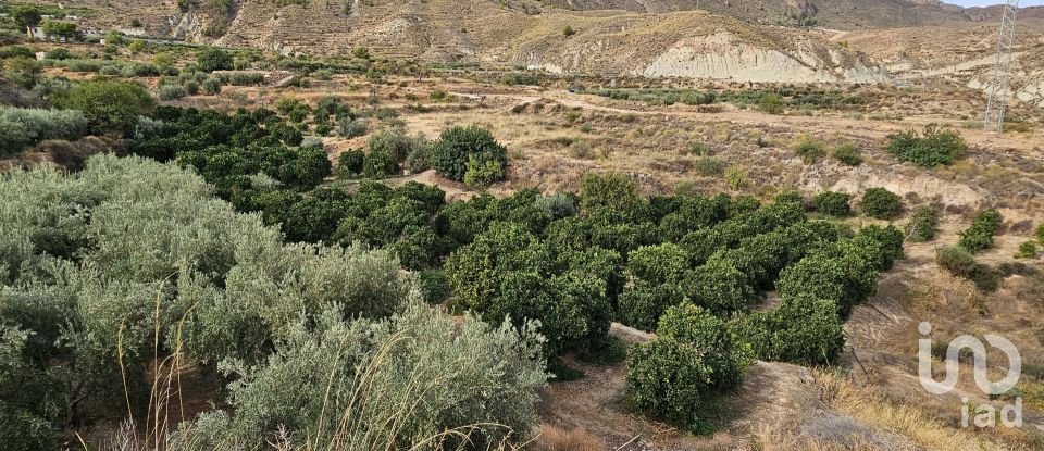Terreny agrícola de 16.900 m² a Illar (04431)