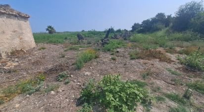 Land of 1,256 m² in Urbanización Monte Pego (03789)