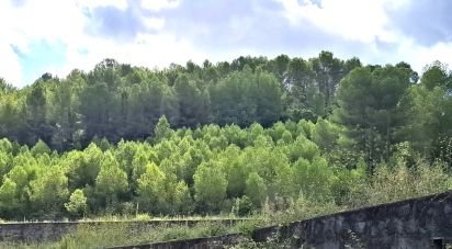 Land of 10,350 m² in Benidoleig (03759)