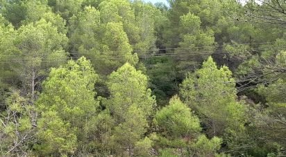 Land of 10,350 m² in Benidoleig (03759)