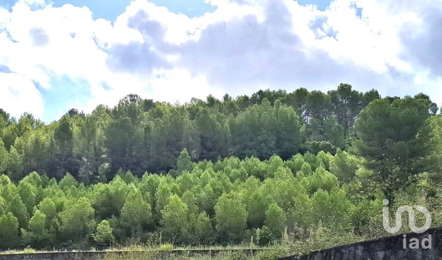 Terreno de 10.350 m² en Benidoleig (03759)