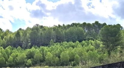 Land of 10,350 m² in Benidoleig (03759)