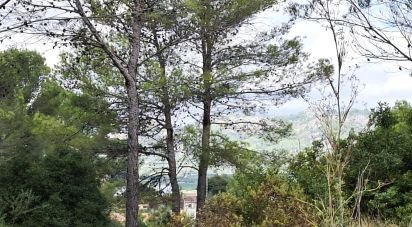 Land of 10,350 m² in Benidoleig (03759)