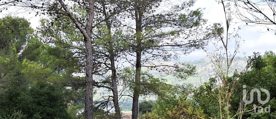 Terreno de 10.350 m² en Benidoleig (03759)