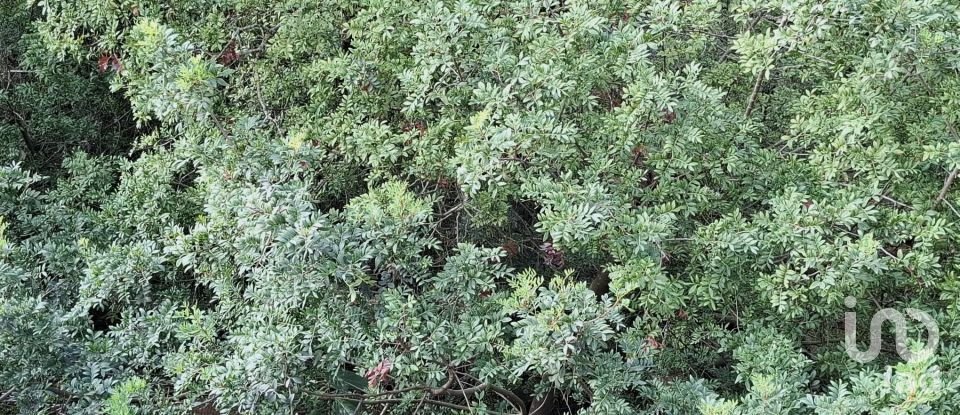 Terreno de 10.350 m² en Benidoleig (03759)