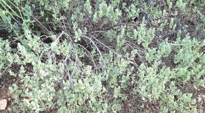 Land of 10,350 m² in Benidoleig (03759)