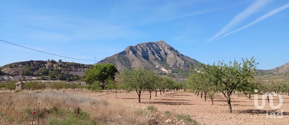 Casa rústica 4 habitacions de 163 m² a Hondón de los Frailes (03689)