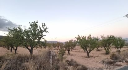 Land of 21,460 m² in Salinas (03638)