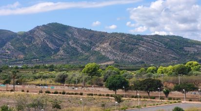 Apartment 2 bedrooms of 61 m² in Oropesa/Oropesa del Mar (12594)