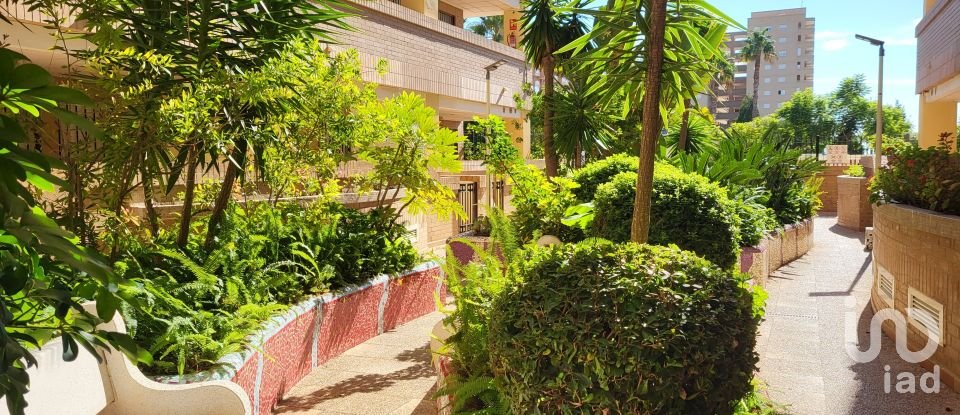 Piso 2 habitaciones de 61 m² en Oropesa/Oropesa del Mar (12594)