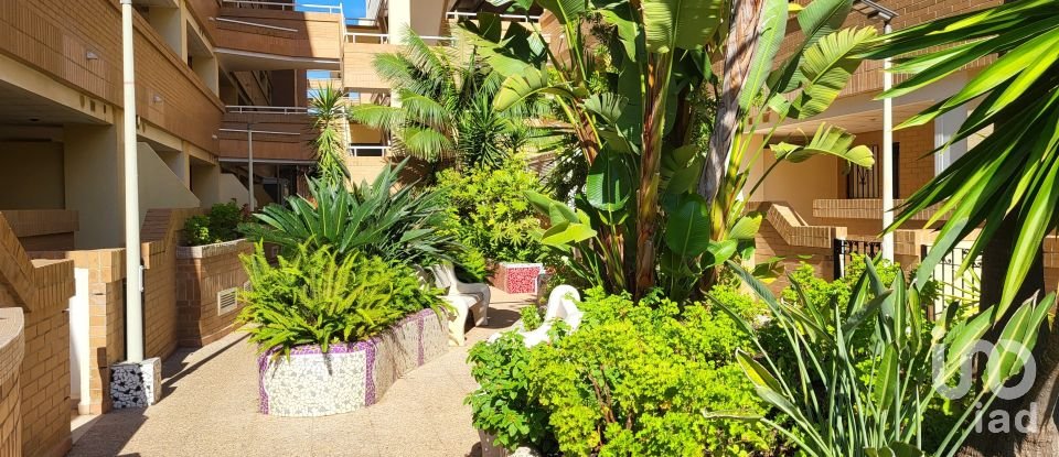 Piso 2 habitaciones de 61 m² en Oropesa/Oropesa del Mar (12594)