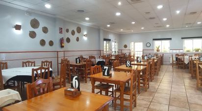 Restaurant of 358 m² in Almenara (12590)