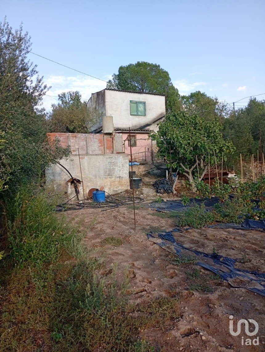 Farm land of 2,920 m² in Móra la Nova (43770)