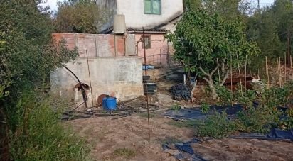 Farm land of 2,920 m² in Móra la Nova (43770)