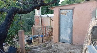 Farm land of 2,920 m² in Móra la Nova (43770)