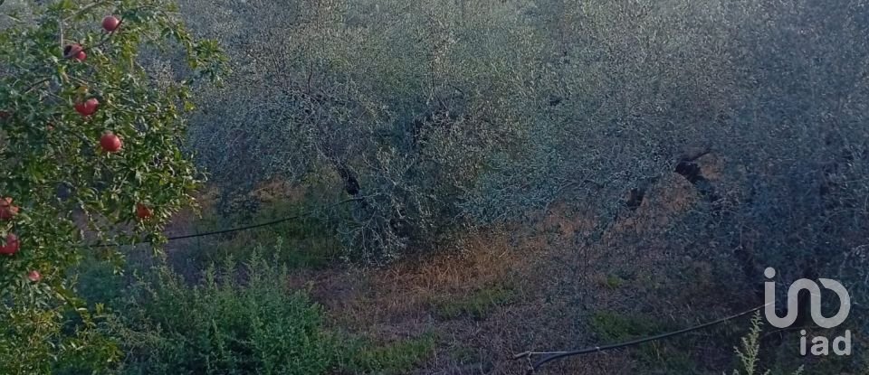 Farm land of 2,920 m² in Móra la Nova (43770)