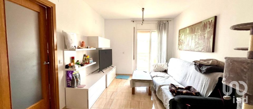 Apartment 2 bedrooms of 74 m² in Amposta (43870)