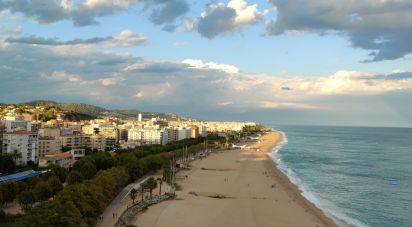 House 4 bedrooms of 300 m² in Calella (08370)