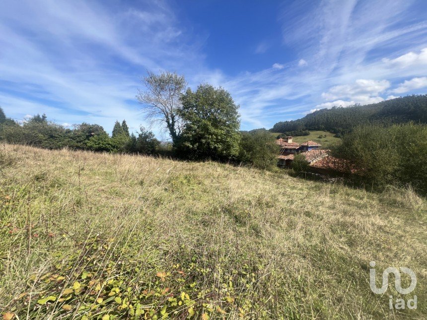 Terreny de 1.250 m² a Pulide (33456)