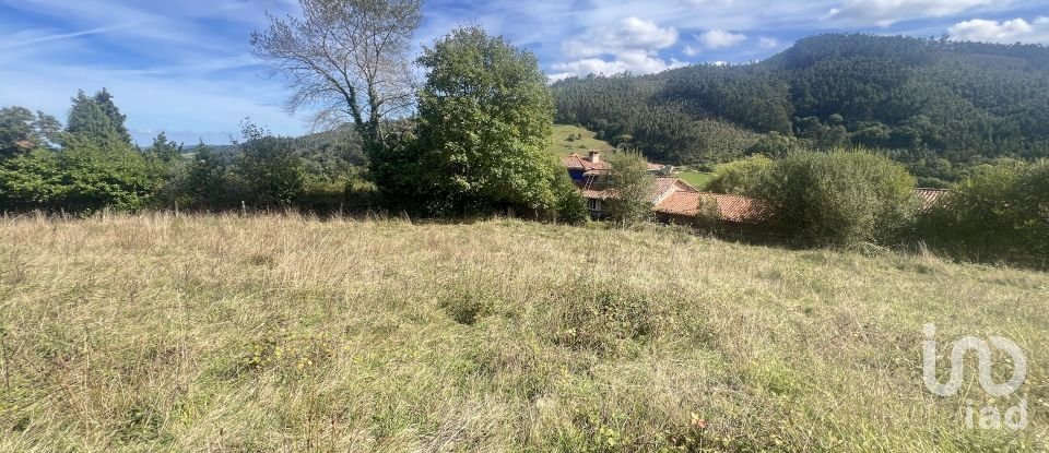 Terreny de 1.250 m² a Pulide (33456)