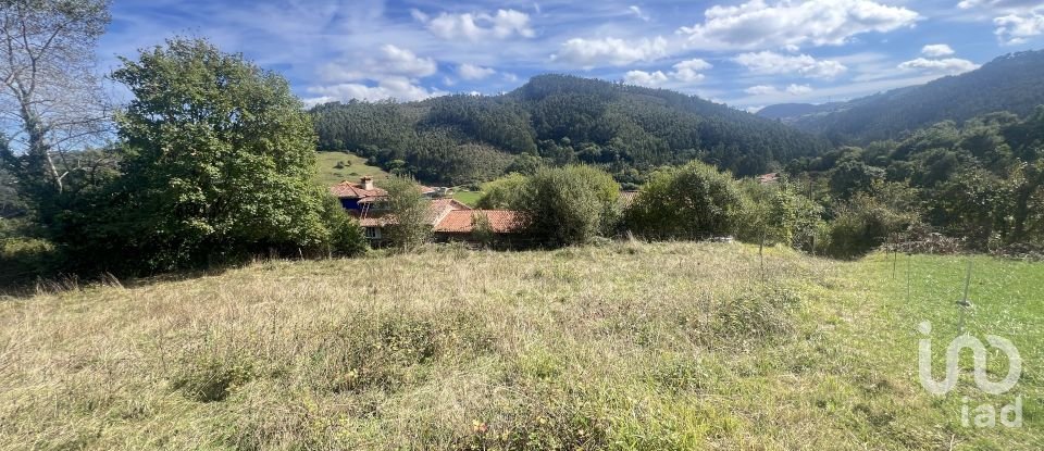 Terreny de 1.250 m² a Pulide (33456)