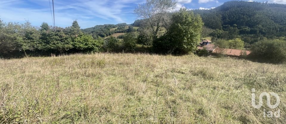 Terreny de 1.250 m² a Pulide (33456)