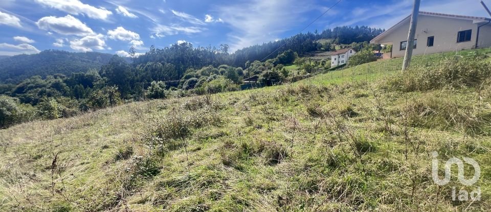 Terreny de 1.250 m² a Pulide (33456)