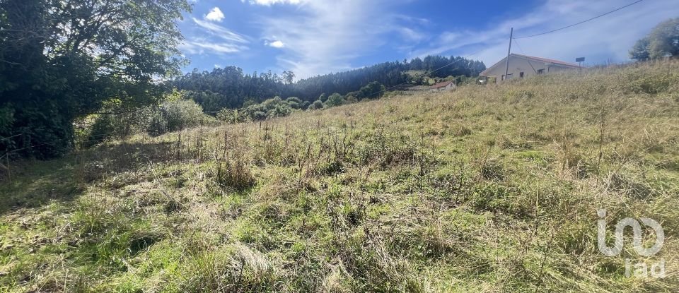 Terreny de 1.250 m² a Pulide (33456)