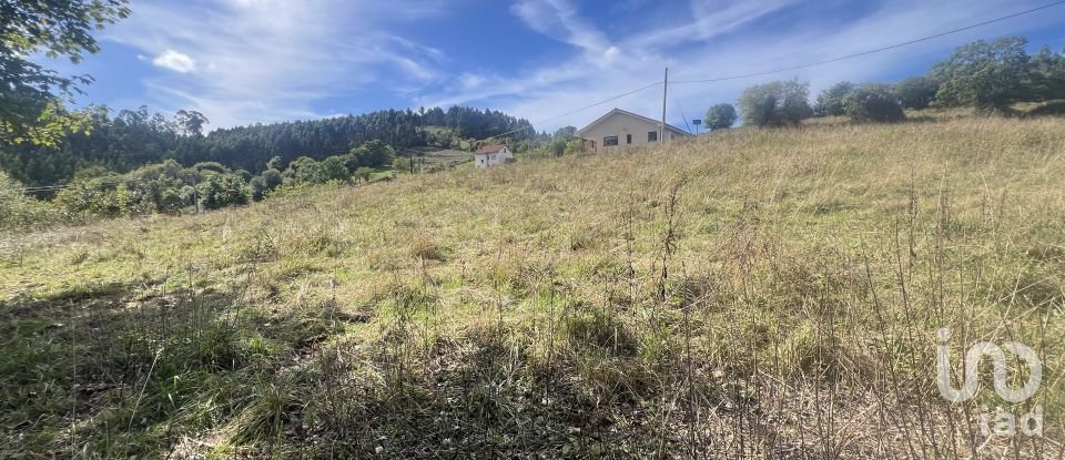 Terreny de 1.250 m² a Pulide (33456)