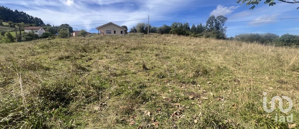 Terreny de 1.250 m² a Pulide (33456)