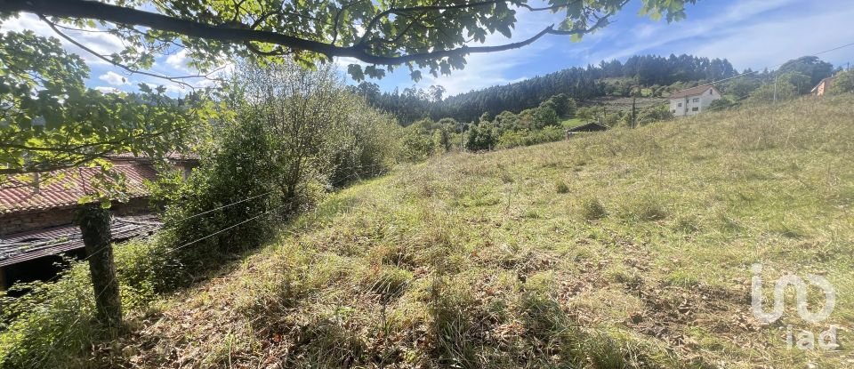 Terreny de 1.250 m² a Pulide (33456)