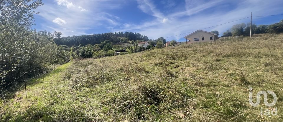 Terreny de 1.250 m² a Pulide (33456)