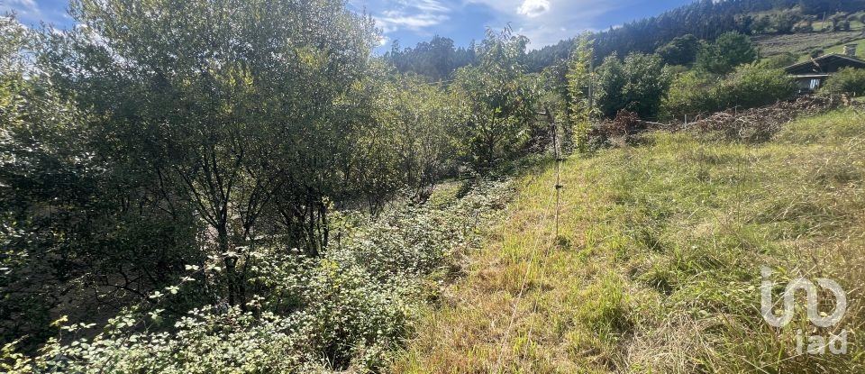 Terreny de 1.250 m² a Pulide (33456)