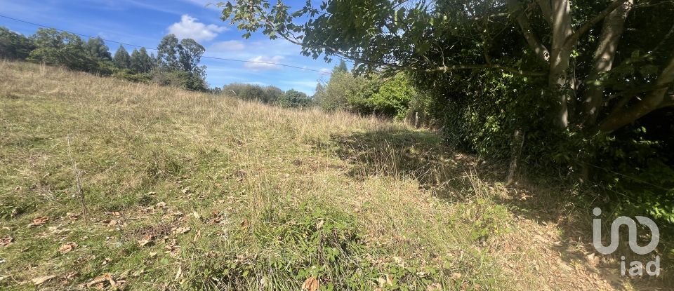 Terreny de 1.250 m² a Pulide (33456)