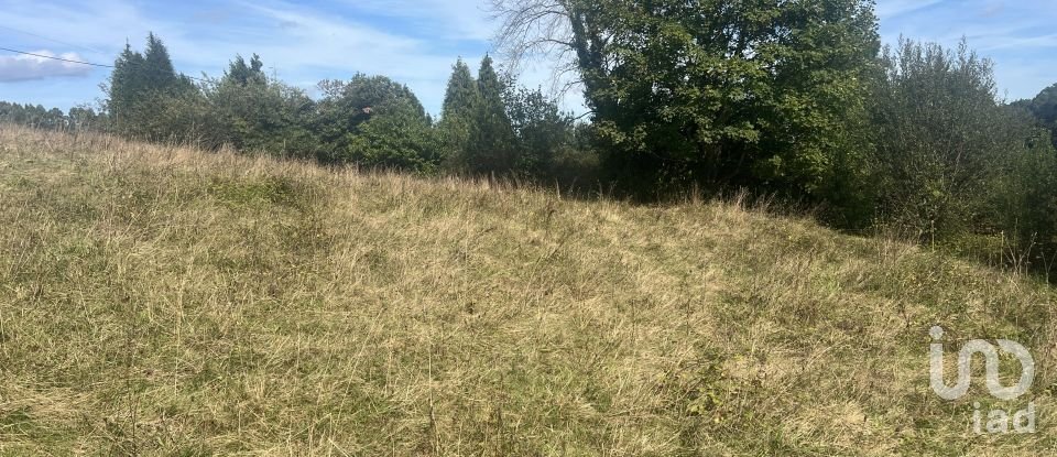 Terreny de 1.250 m² a Pulide (33456)