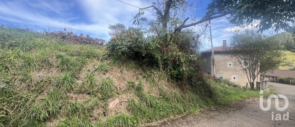 Terreny de 1.250 m² a Pulide (33456)