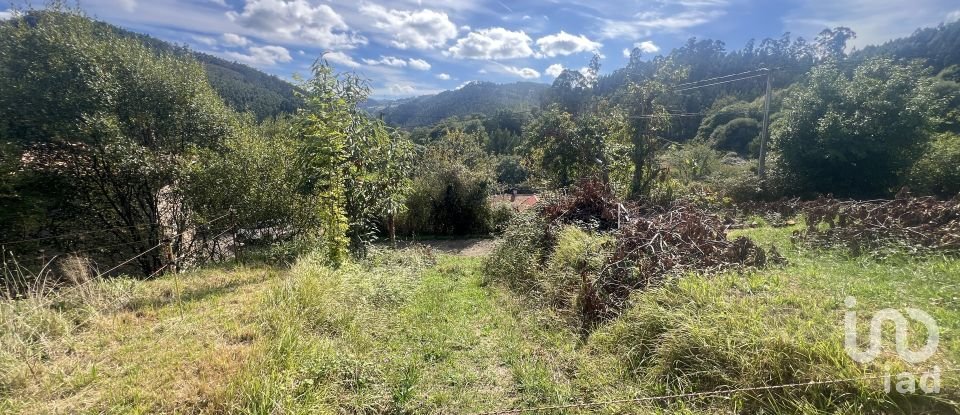 Terreny de 1.250 m² a Pulide (33456)