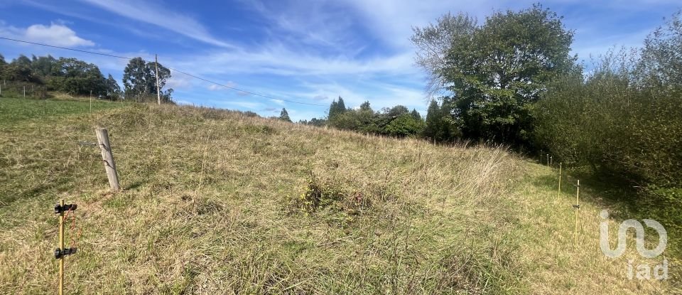 Terreny de 1.250 m² a Pulide (33456)