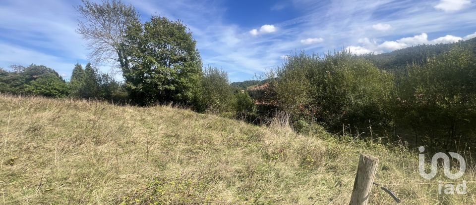 Terreny de 1.250 m² a Pulide (33456)