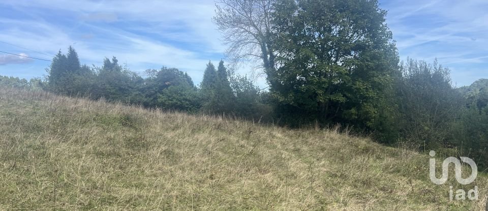 Terreny de 1.250 m² a Pulide (33456)