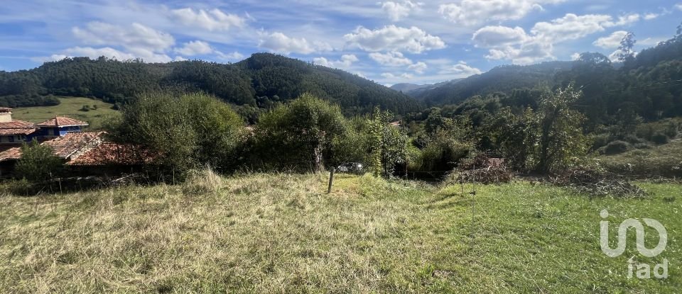 Terreny de 1.250 m² a Pulide (33456)