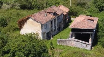 Village house 0 bedrooms of 160 m² in Pulide (33456)