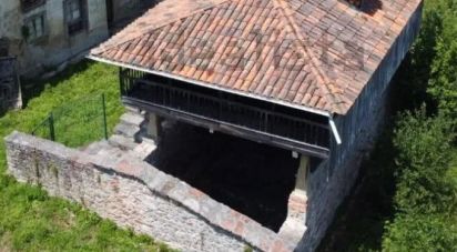 Village house 0 bedrooms of 160 m² in Pulide (33456)