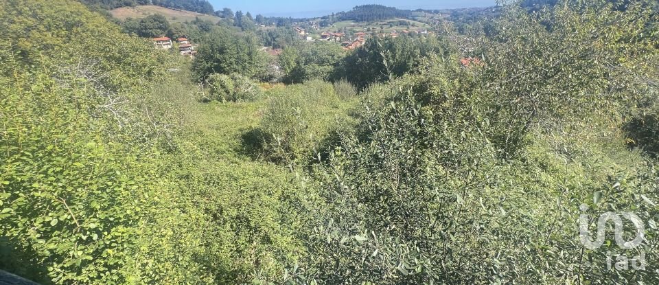 Casa de poble 0 habitacions de 160 m² a Pulide (33456)